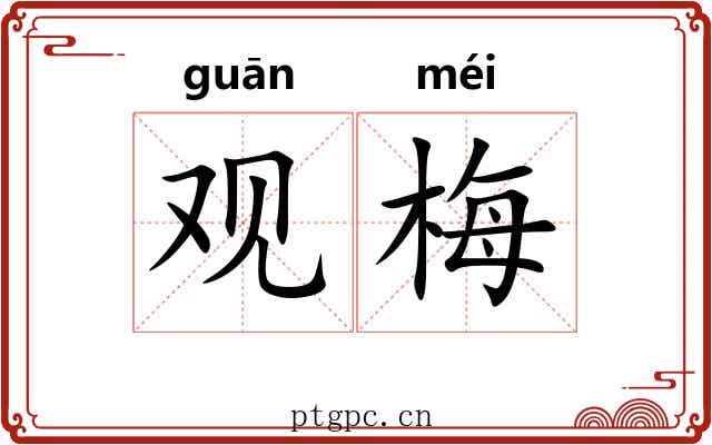 观梅