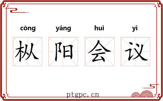枞阳会议