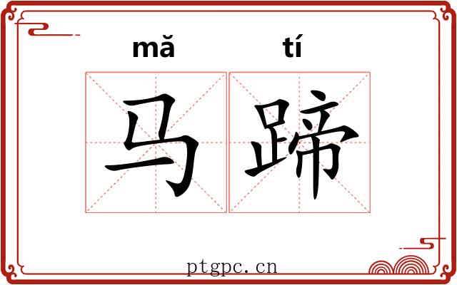 马蹄 马蹄
