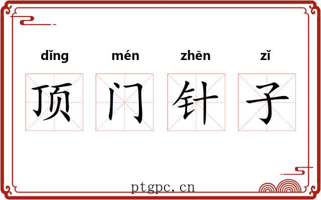 顶门针子