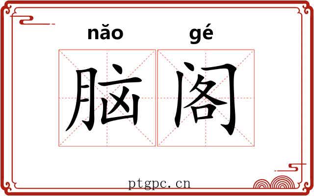 脑阁 脑阁