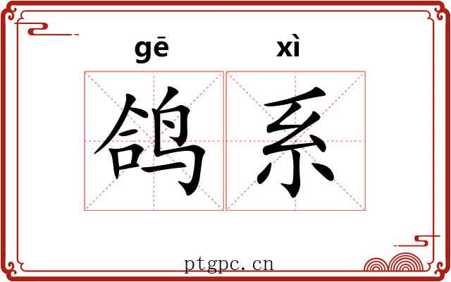 鸽系 鸽系