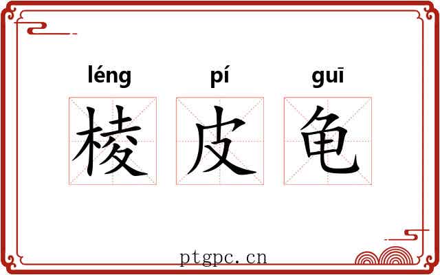 棱皮龟 棱皮龟