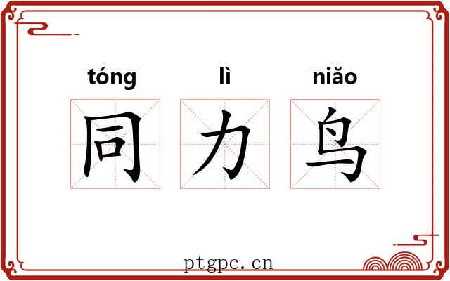 同力鸟 同力鸟
