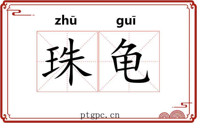 珠龟 珠龟