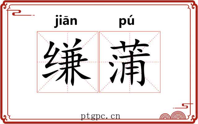 缣蒲