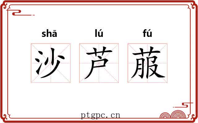 沙芦菔 沙芦菔