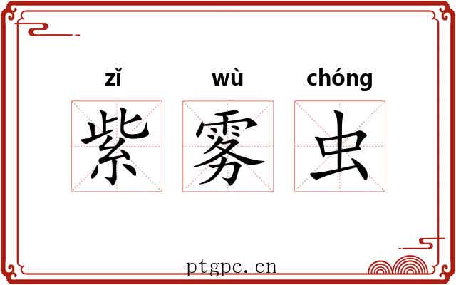 紫雾虫 紫雾虫