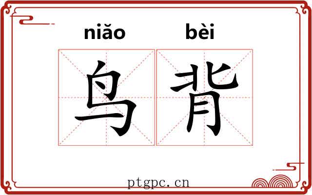 鸟背 鸟背