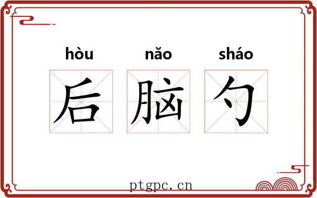 后脑勺 后脑勺