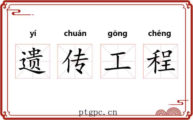 遗传工程 遗传工程