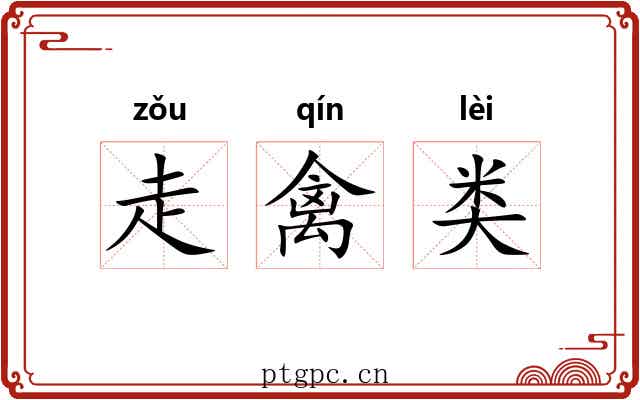 走禽类 走禽类