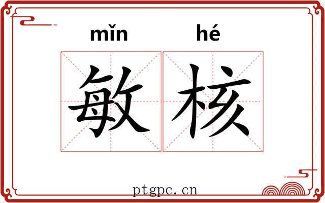 敏核