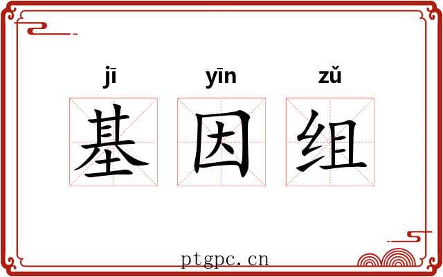 基因组 基因组