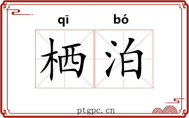 栖泊