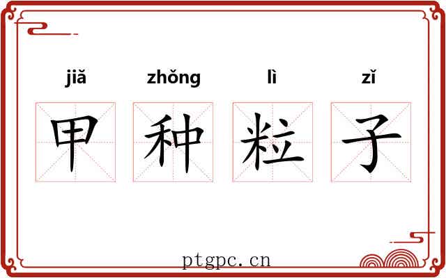 甲种粒子