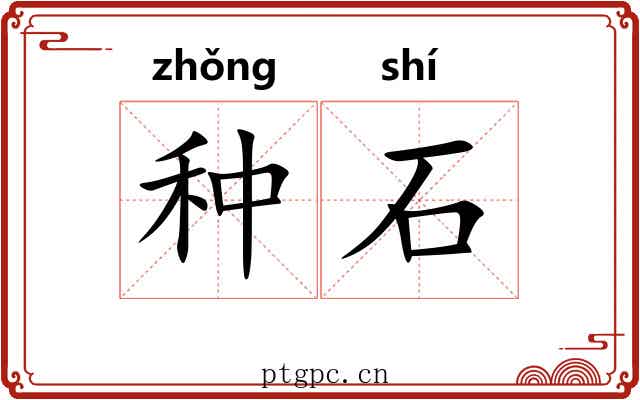 种石 种石
