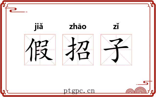 假招子 假招子