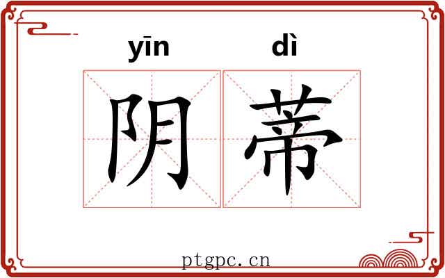 阴蒂 阴蒂