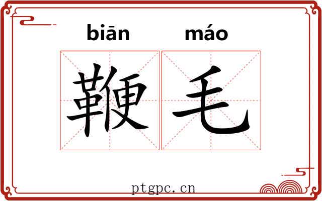 鞭毛 鞭毛
