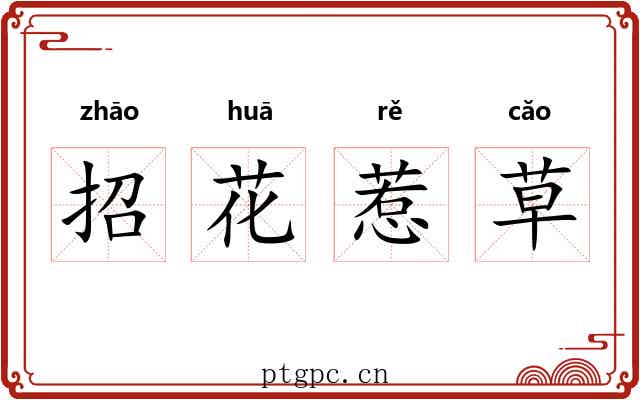 招花惹草 招花惹草