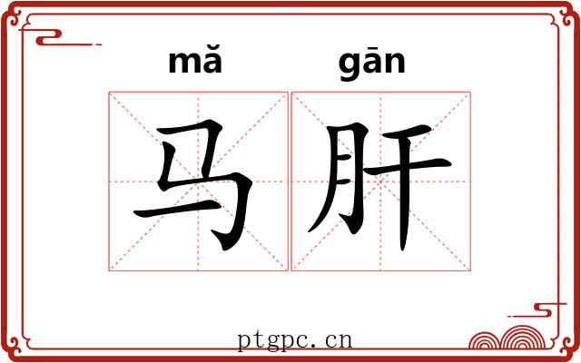 马肝