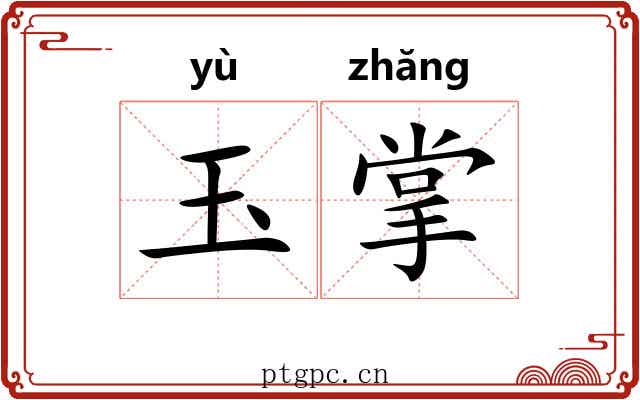 玉掌 玉掌
