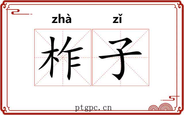 柞子 柞子