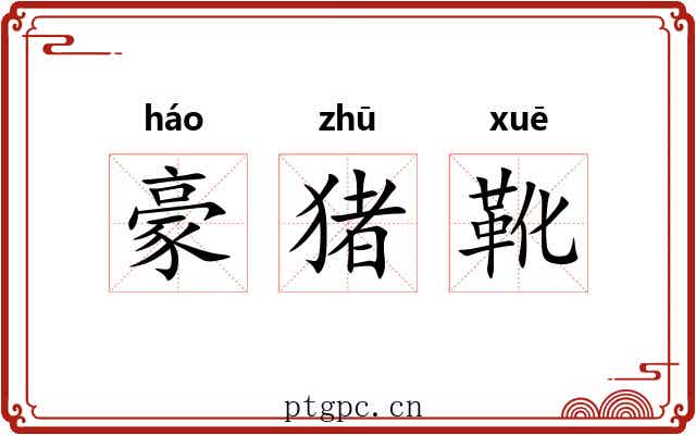 豪猪靴 豪猪靴