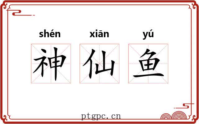 神仙鱼 神仙鱼