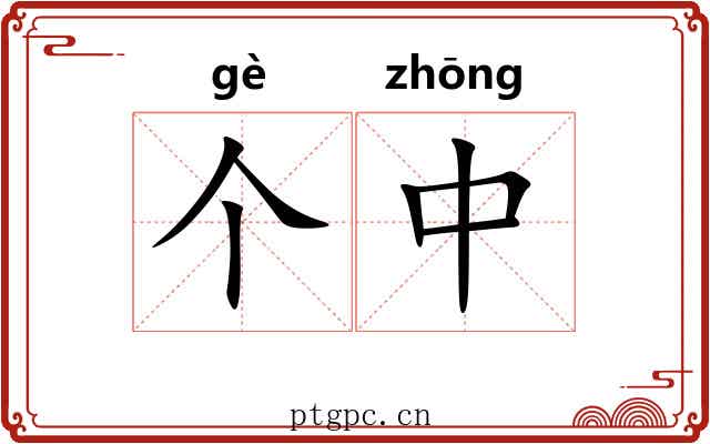 个中
