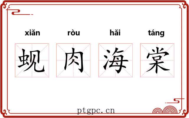 蚬肉海棠