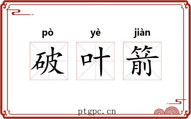 破叶箭 破叶箭