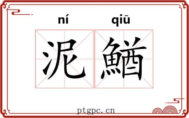 泥鰌