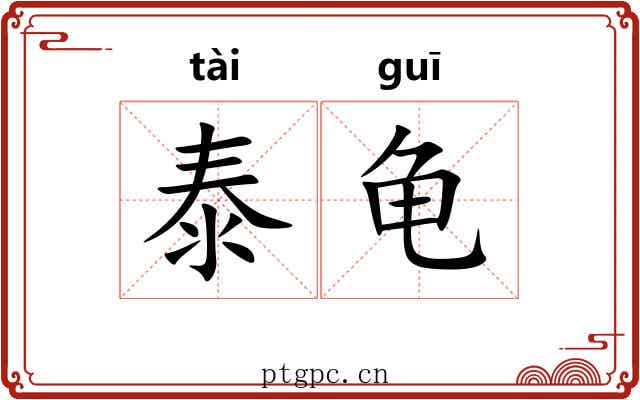 泰龟