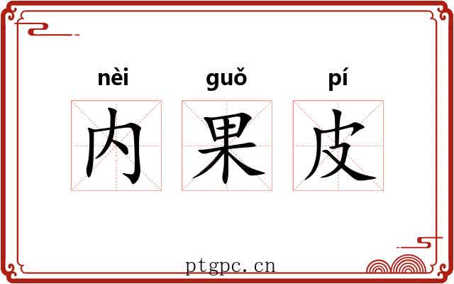 内果皮 内果皮