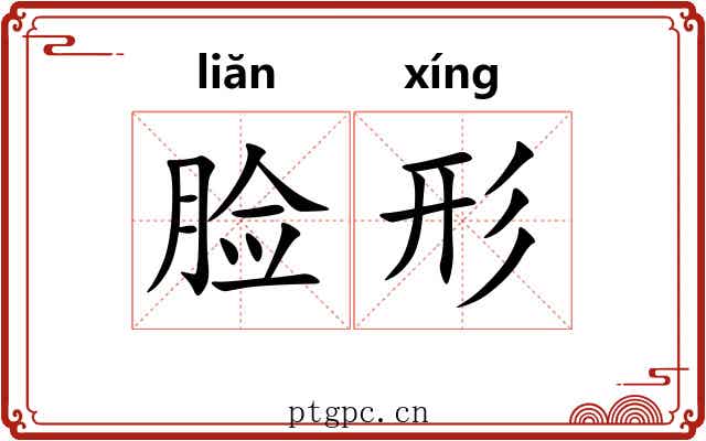 脸形