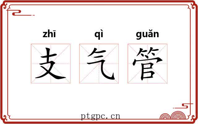 支气管 支气管