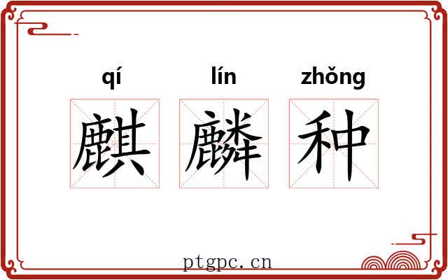 麒麟种 麒麟种