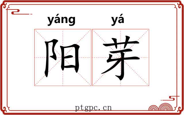 阳芽 阳芽