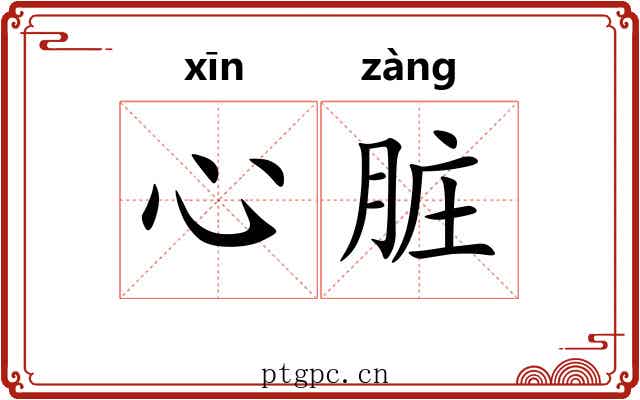心脏 心脏