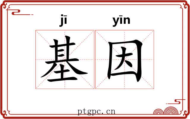 基因 基因