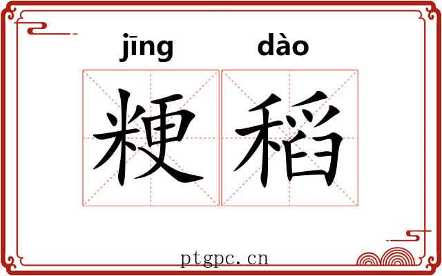 粳稻 粳稻