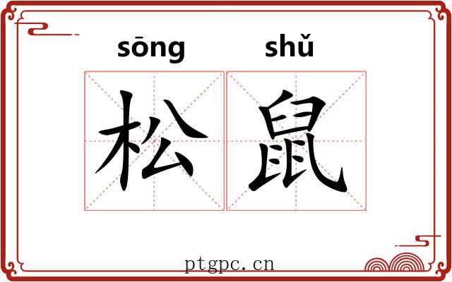 松鼠 松鼠