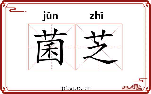 菌芝