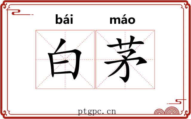 白茅 白茅