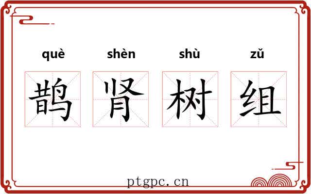 鹊肾树组 鹊肾树组
