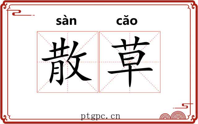 散草 散草