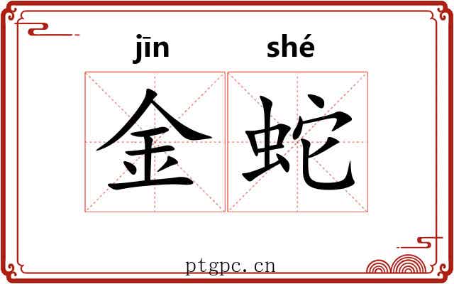 金蛇 金蛇