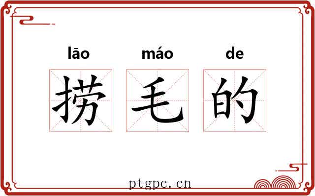 捞毛的 捞毛的